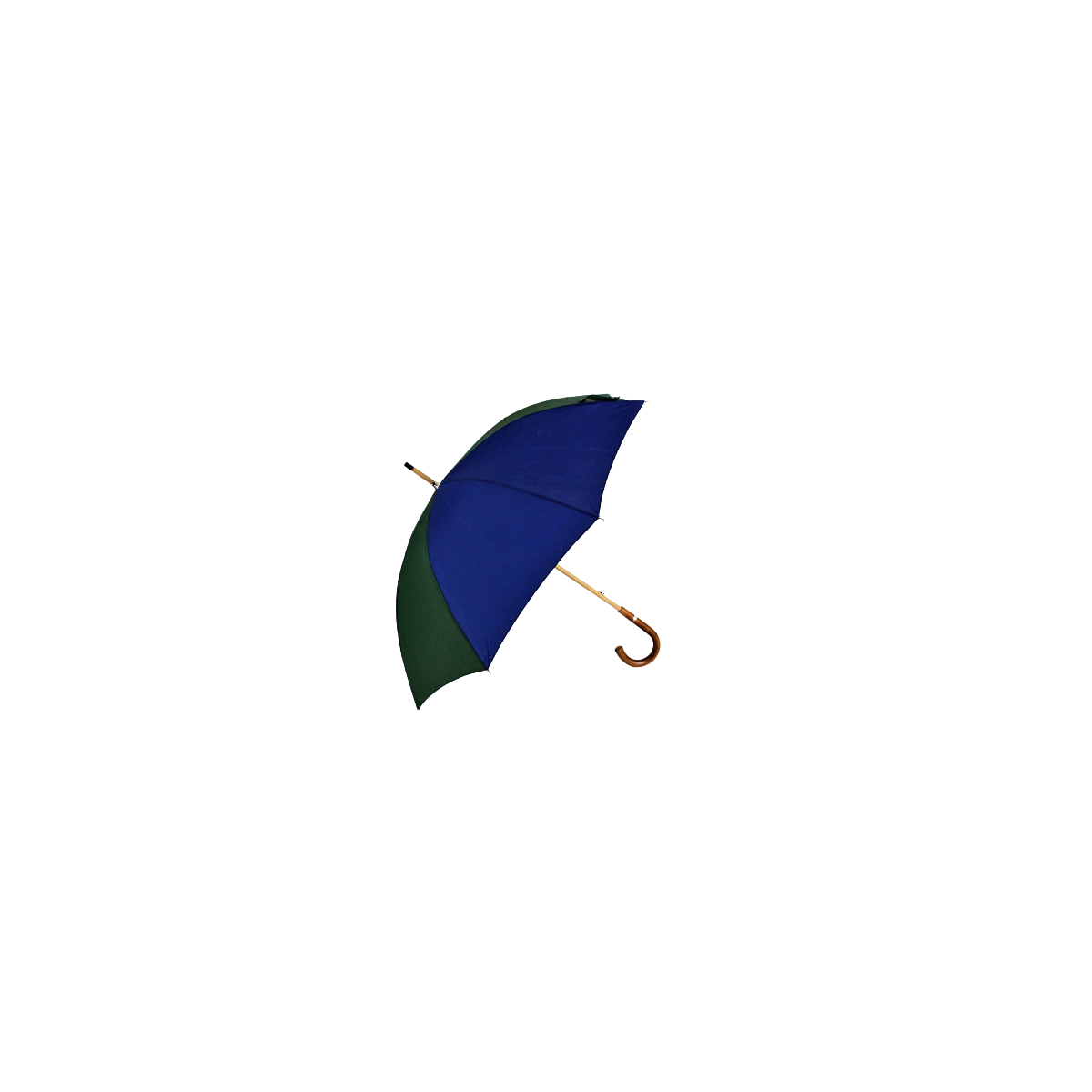 Vue latérale du parapluie en en toile de montgolfière on y retrouve ses 2 couleurs : verte et bleue Vue latérale du parapluie en en toile de montgolfière on y retrouve ses 2 couleurs : verte et bleue